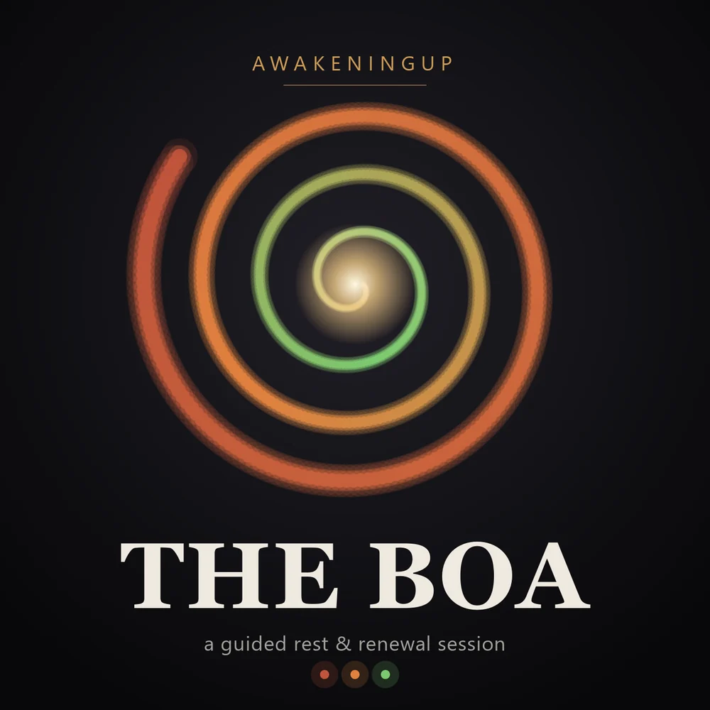 The Boa cover art